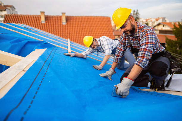 Best Commercial Roofing Services  in Carterville, MO